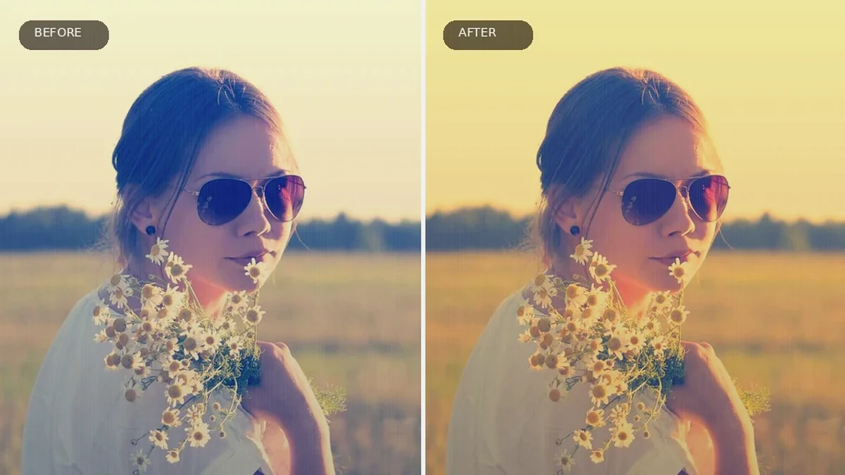 Horror Creator Effect 8 before and after comparison